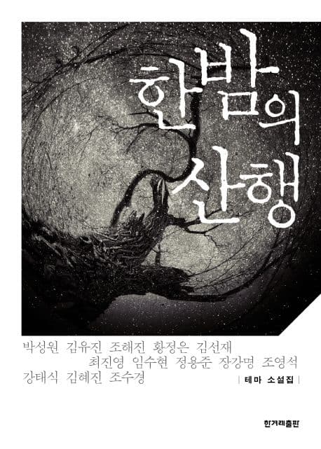 한밤의 산행 : 테마 소설집 표지