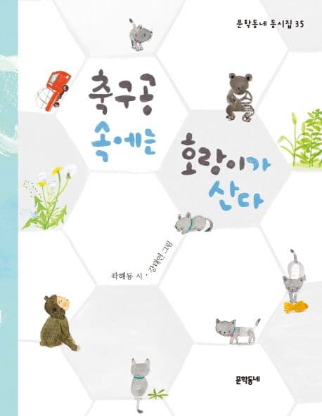 축구공 속에는 호랑이가 산다 표지
