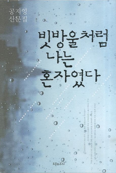 빗방울처럼나는 혼자였다 표지