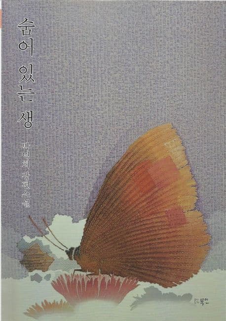 숨어 있는 생 : 박명희 장편소설 표지