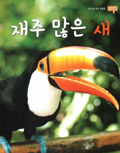 재주 많은 새 표지