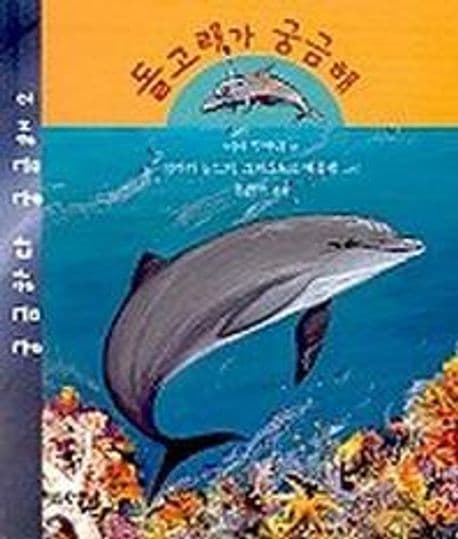 돌고래가 궁금해 표지