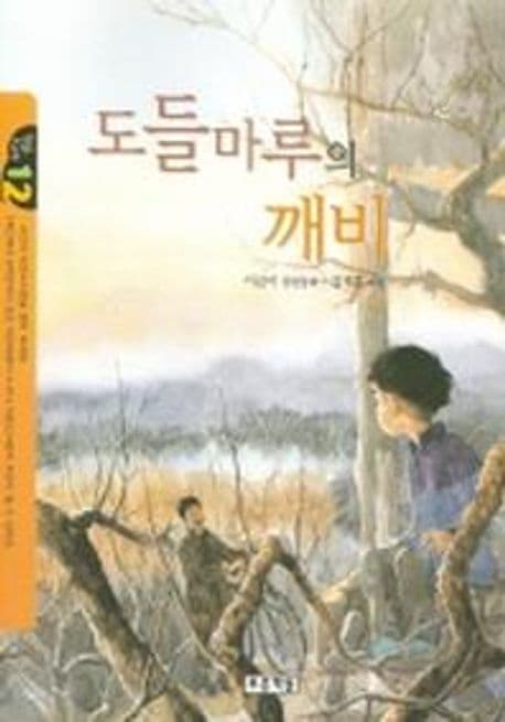 도들마루의 깨비 표지