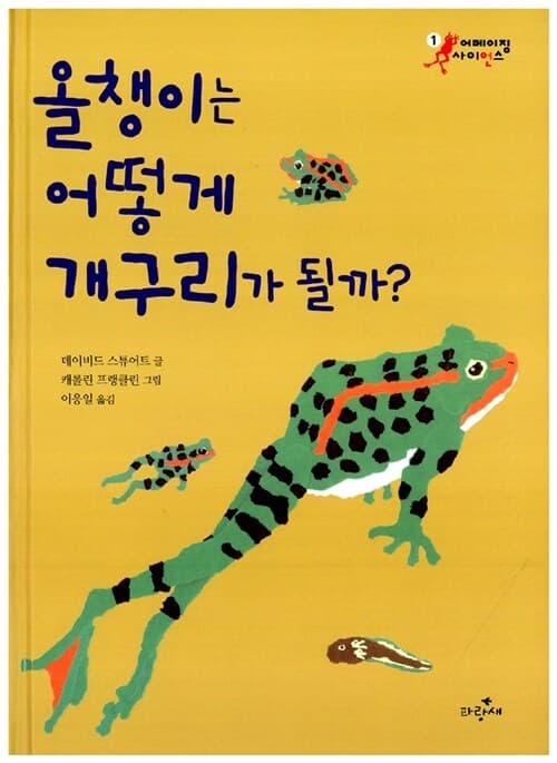 올챙이는 어떻게 개구리가 될까 표지