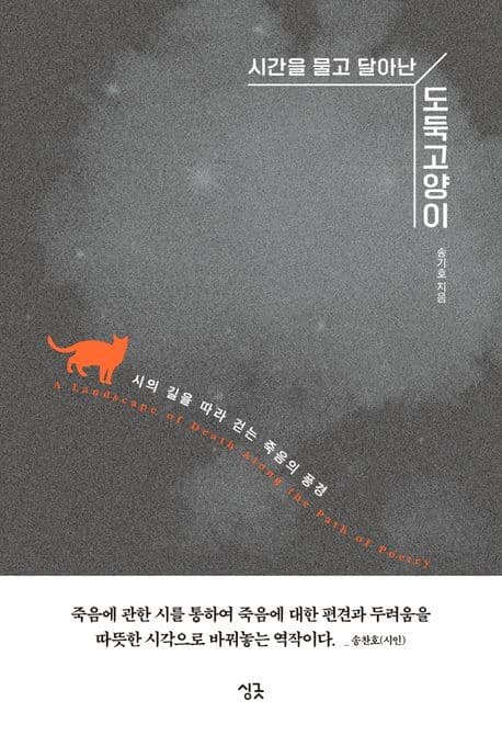 (시간을 물고 달아난) 도둑고양이 : 시의 길을 따라 걷는 죽음의 풍경 표지