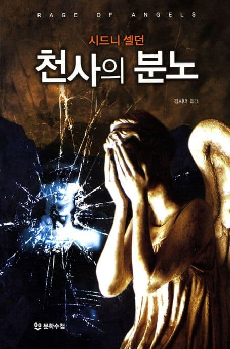 천사의 분노 표지