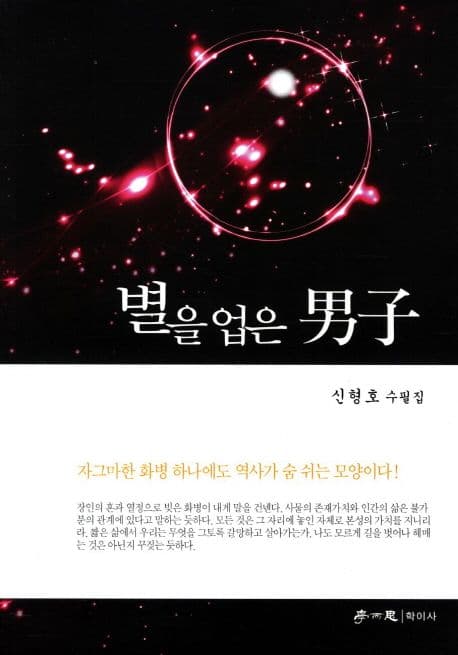 별을 업은 남자 표지