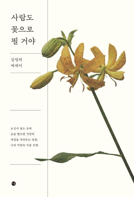 사람도 꽃으로 필 거야 : 김영희 에세이 표지
