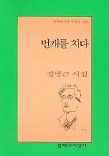 번개를 치다 표지
