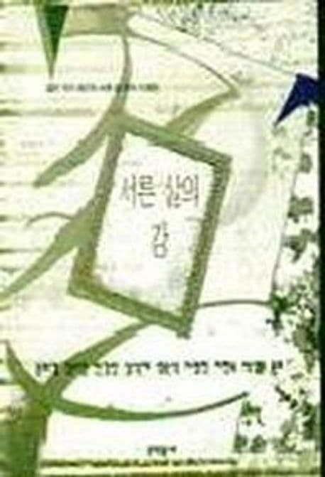 서른살의 강 표지