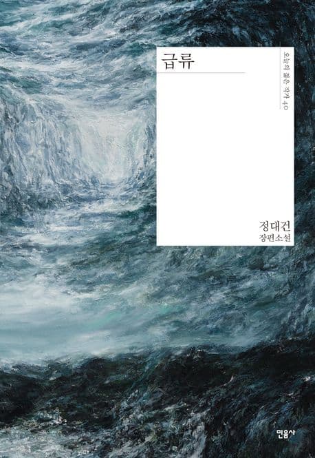 급류 : 정대건 장편소설 표지