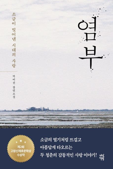 염부 : 소금이 빚어낸 시대의 사랑 : 박이선 장편소설 표지