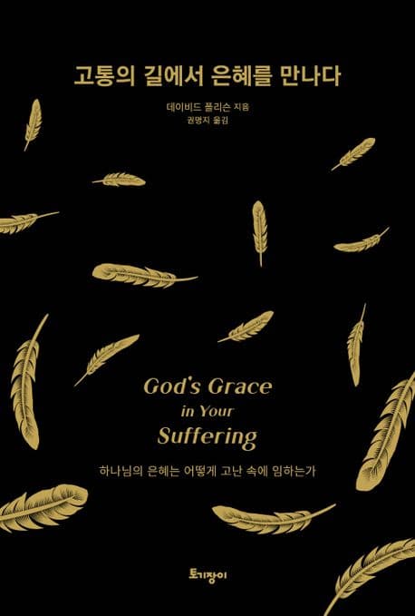고통의 길에서 은혜를 만나다 : 하나님의 은혜는 어떻게 고난 속에 임하는가 표지