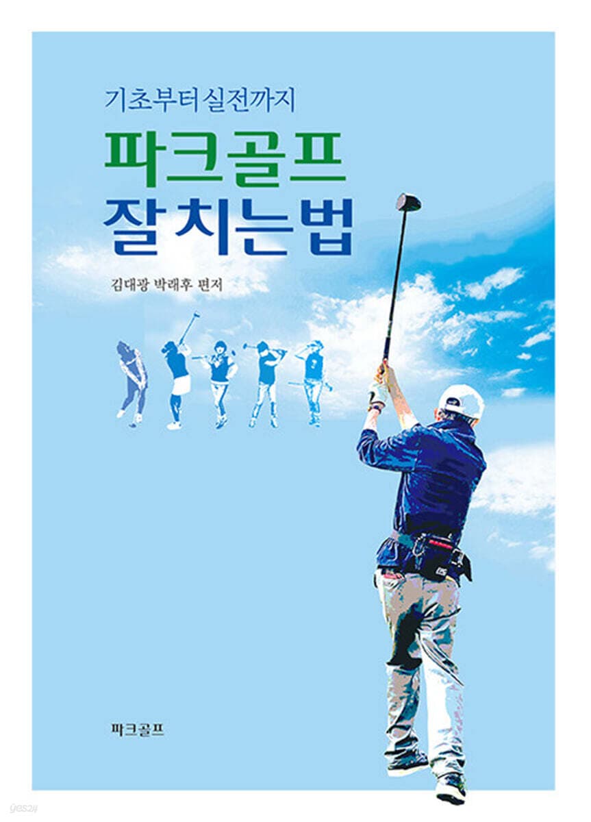 파크골프 잘 치는 법 : 기초부터 실전까지 표지
