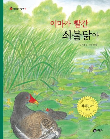이마가 빨간 쇠물닭아 표지
