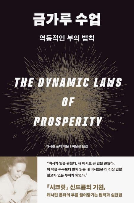 금가루 수업 : 역동적인 부의 법칙 표지