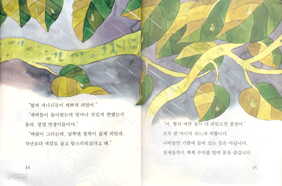 내 보물 누가 훔쳐 갔어? 표지