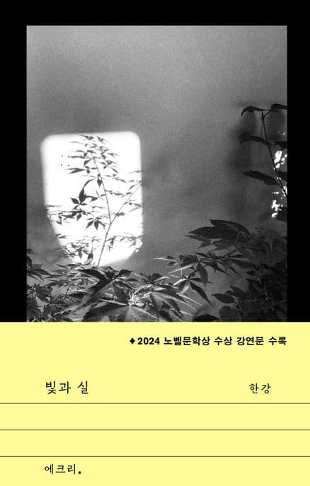 빛과 실 표지
