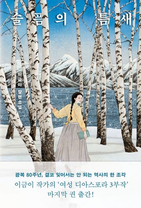 슬픔의 틈새 : 이금이 장편소설 표지