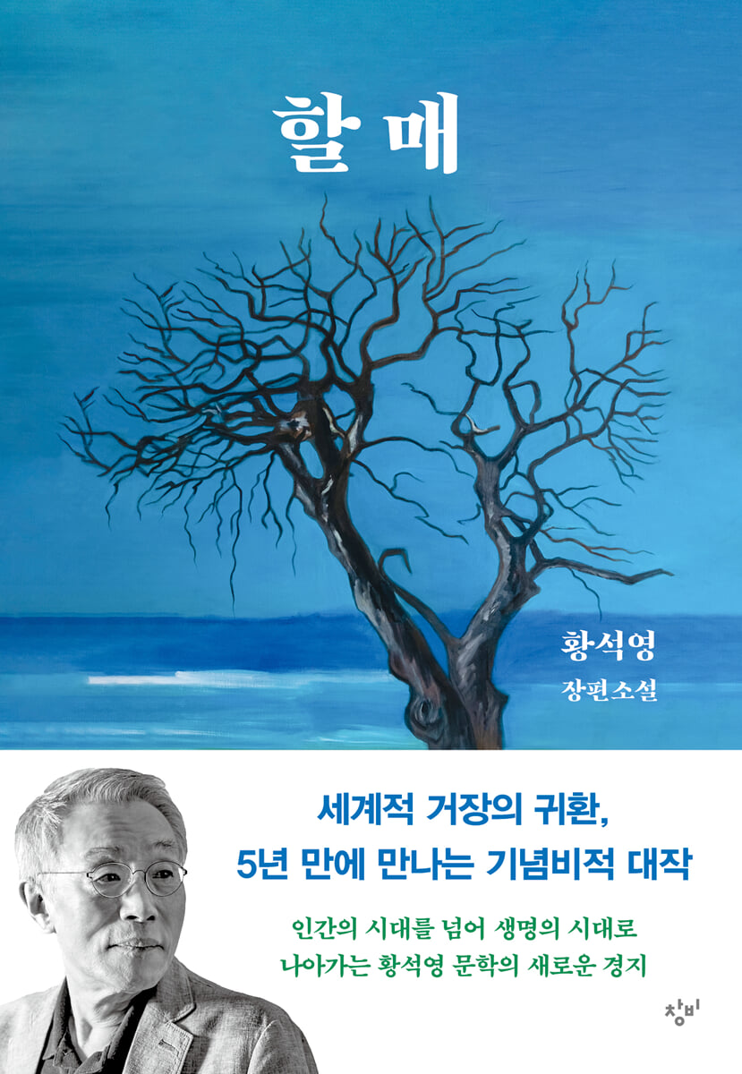 할매 : 황석영 장편소설 표지