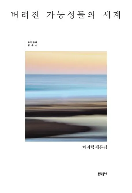 버려진 가능성들의 세계 : 차미령 평론집 표지