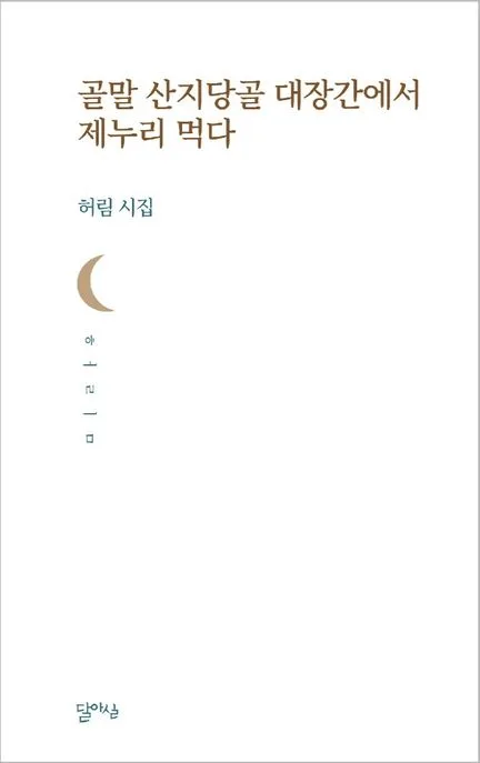 골말 산지당골 대장간에서 제누리 먹다 : 허림 시집 표지