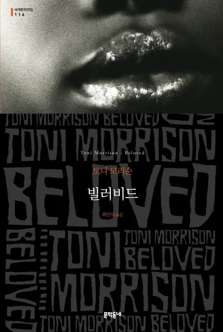 빌러비드 : 토니 모리슨 장편소설 표지