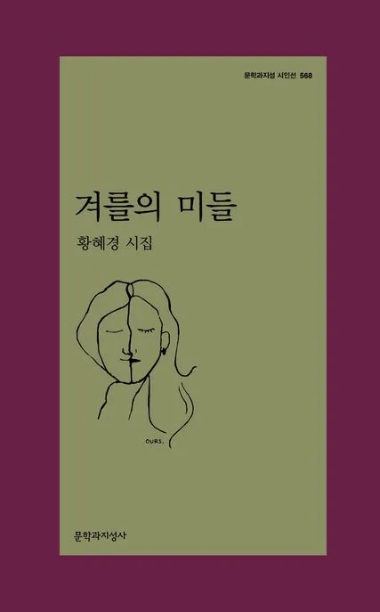 겨를의 미들 : 황혜경 시집 표지