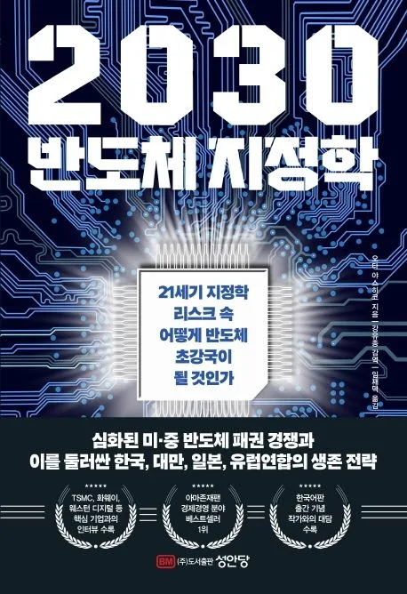 2030 반도체 지정학 : 21세기 지정학 리스크 속 어떻게 반도체 초강국이 될 것인가 표지