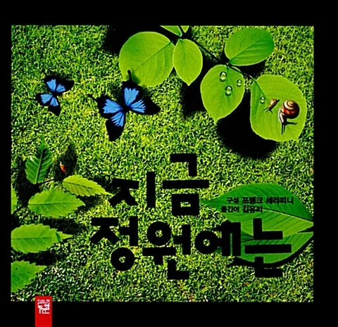 지금 정원에는 표지