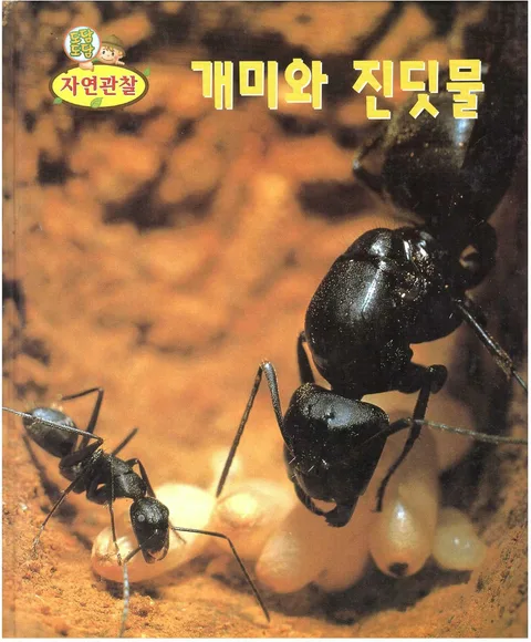 개미와 진딧물 표지