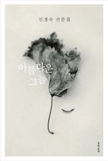 아름다운 그늘 표지