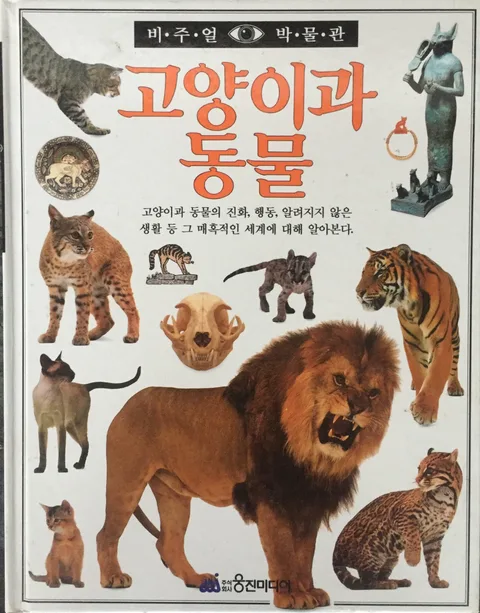 고양이과 동물 표지