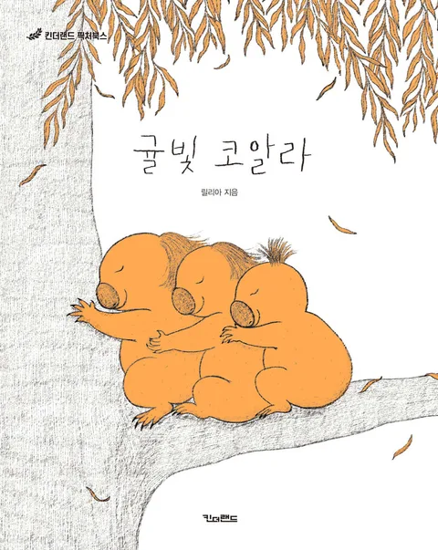 귤빛 코알라 표지