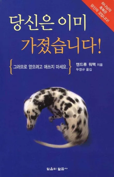 당신은 이미 가졌습니다 표지