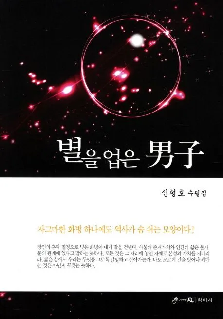 별을 업은 남자 표지