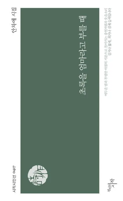 초록을 엄마라고 부를 때 : 안차애 시집 표지
