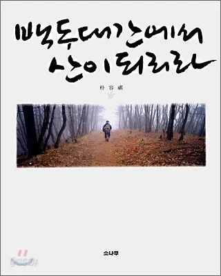 백두대간에서 산이되리라 표지