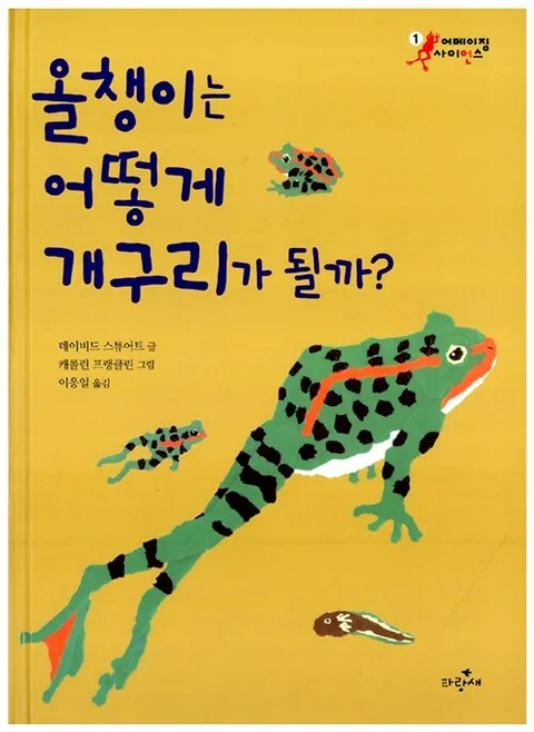 올챙이는 어떻게 개구리가 될까 표지