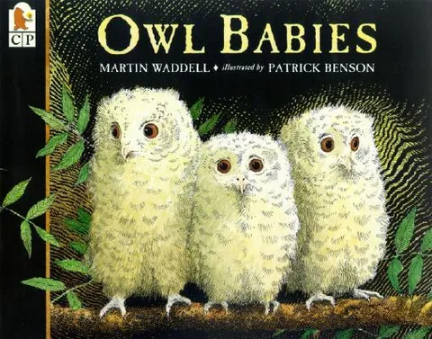 Owl babies 표지
