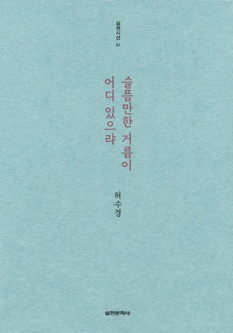 슬픔만 한 거름이 어디 있으랴 표지