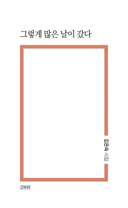 그렇게 많은 날이 갔다 : 김은숙 시집 표지