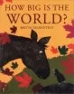 How big is the world? 표지