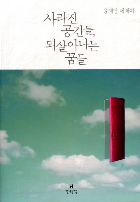 사라진 공간들, 되살아나는 꿈들 : 윤대녕 에세이 표지