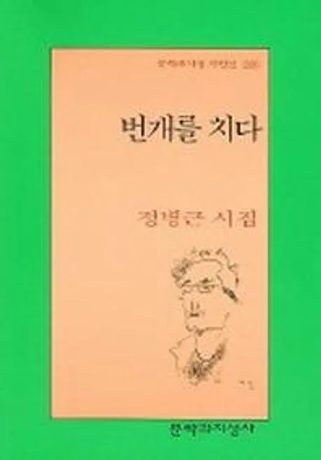 번개를 치다 표지