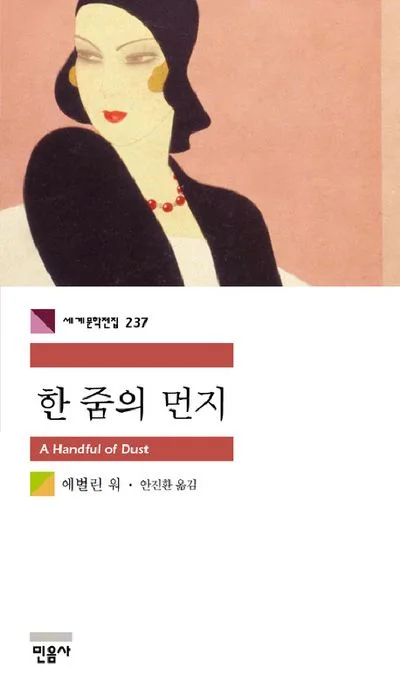 한 줌의 먼지 표지