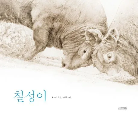 칠성이 표지