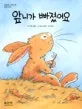 앞니가 빠졌어요 표지