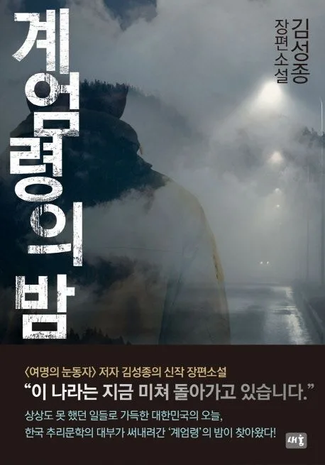 계엄령의 밤 : 김성종 장편소설 표지