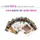 바다생물 표지